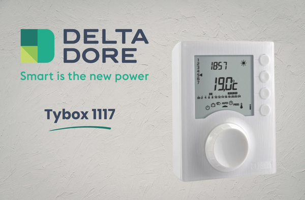test thermostat delta dore tybox presentation