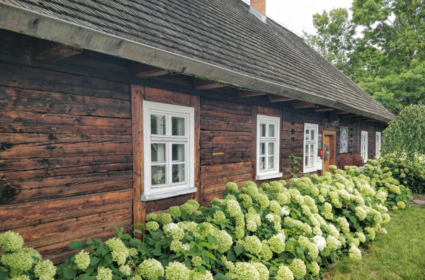 maison en bois