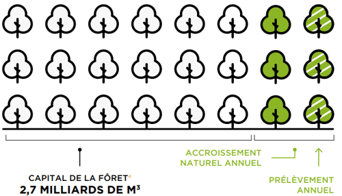 accroissement forêt française