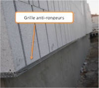 grille anti rongeur