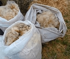 laine de mouton en vrac