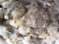 laine de mouton en vrac