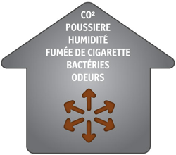 Air sec dans la maison : comment résoudre ce problème