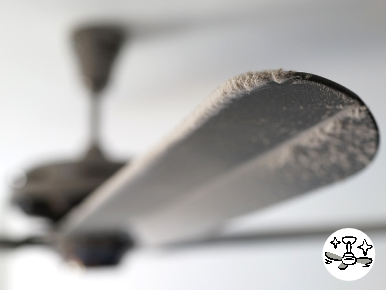 ventilateur plafond poussiere entretien
